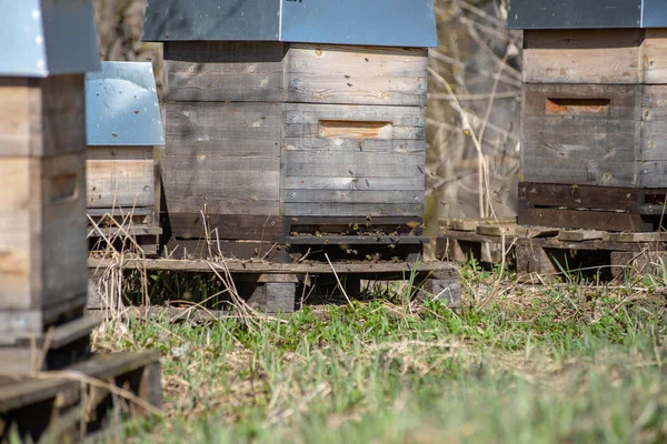 bee keeping inventory, bee houses