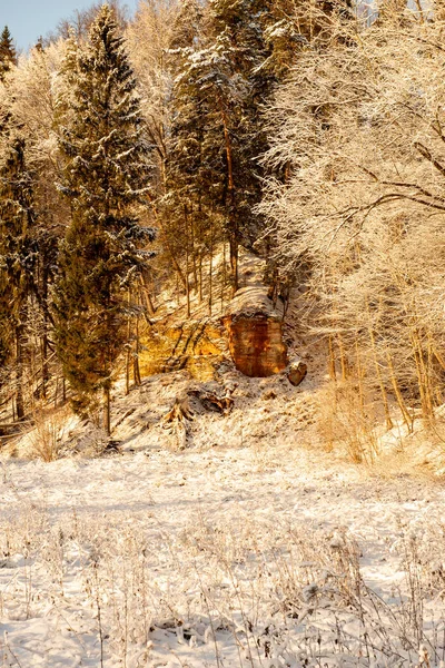 Gefrorene Winterlandschaft mit schneebedeckten Wäldern und Feldern — Stockfoto