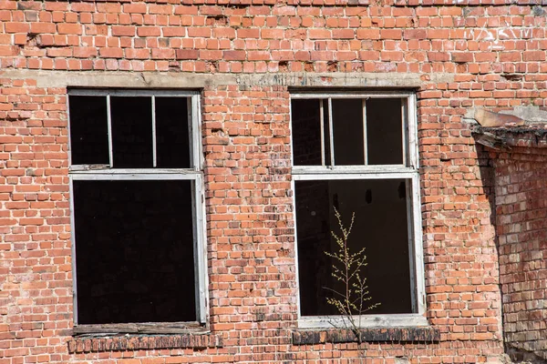 Antiguo edificio de piedra detalles del castillo — Foto de Stock