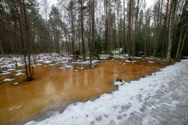 frozen bodies of water in deep winter under snow