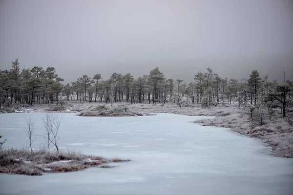 Frozen bodies of water in deep winter under snow — Stock Photo, Image