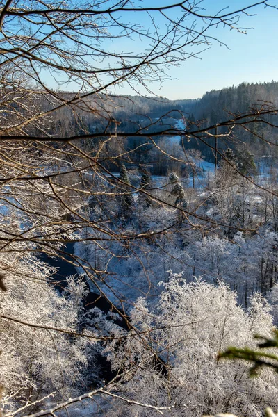Замерзший зимний пейзаж с покрытыми снегом лесами и полями — стоковое фото