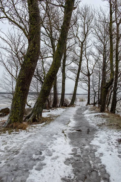 frozen bodies of water in deep winter under snow