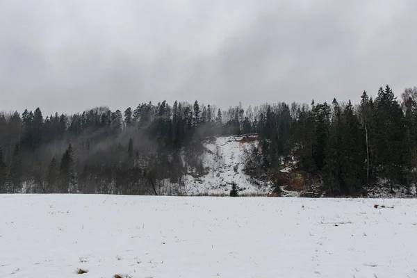 Frozen winter landscape with forests and fields covered in snow — Stock Photo, Image