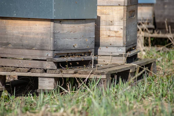 bee keeping inventory, bee houses