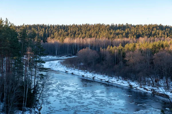 Река Гауя в латвии зимой с плавающими блоками льда — стоковое фото