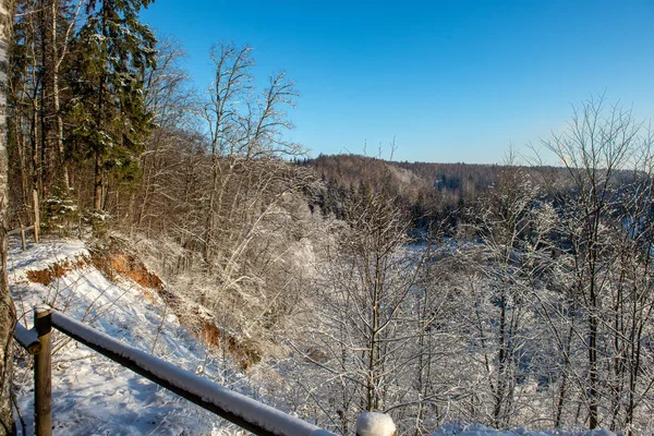 Paisagem de inverno congelada com florestas e campos cobertos de neve — Fotografia de Stock