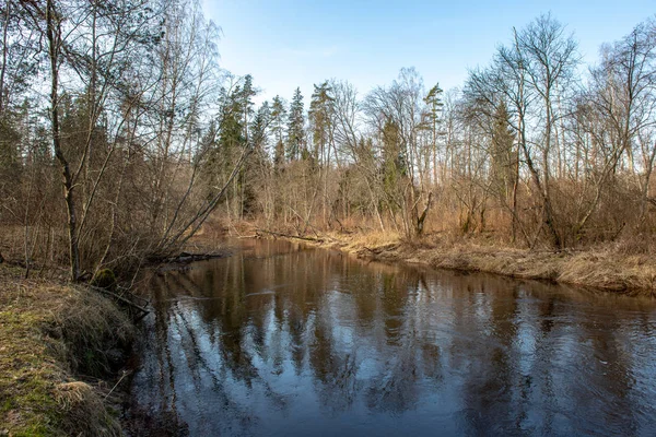 在拉脱维亚的戈贾河在冬季与浮冰块 — 图库照片