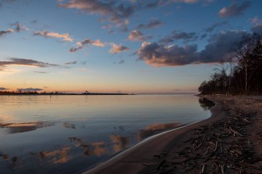 parlak güneş ışığı yansımaları, bulutlar ve ağaç ve mavi gökyüzü ile sakin göl. kırsal kesimde yaz