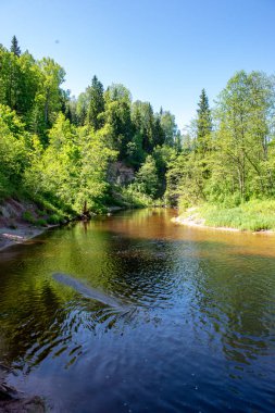 Orman Nehri ormanda, erken ışık Nehri Amata Letonya üzerinde gündoğumu. akışı kayalar ve yaz aylarında yeşil yaprakları ile
