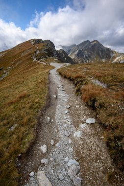 Turizm güneşli yaz gün yürüyüş parkurları ile Tatra rosky Dağ doruklarına. Slovakya