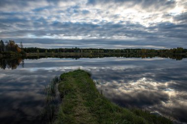 parlak güneş ışığı yansımaları, bulutlar ve ağaç ve mavi gökyüzü ile sakin göl. kırsal kesimde yaz