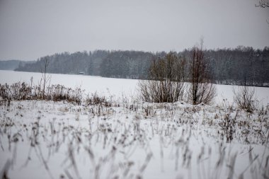 Yukarıdaki kışın donmuş ot bents desenli doku kar