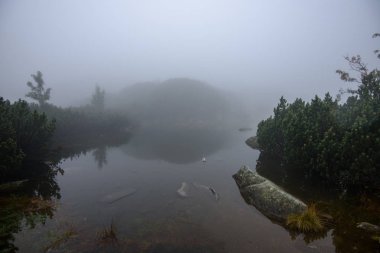sisli puslu gün yağmur ve kayalık ayak izi hiking turist. Slovakya