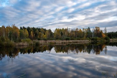 parlak güneş ışığı yansımaları, bulutlar ve ağaç ve mavi gökyüzü ile sakin göl. kırsal kesimde yaz