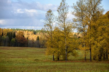 geç sonbaharda, bulutlu gün boş kırsal alanları.