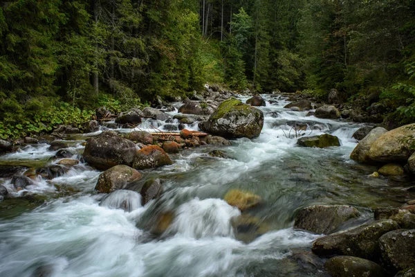 Montanha Rápida Rio Rochoso Floresta Com Cachoeira Outono — Fotografia de Stock