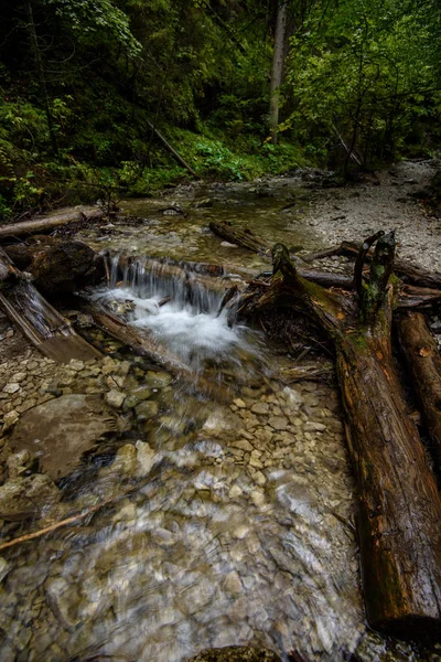 Rápido Río Rocoso Montaña Bosque Con Cascada Otoño — Foto de Stock