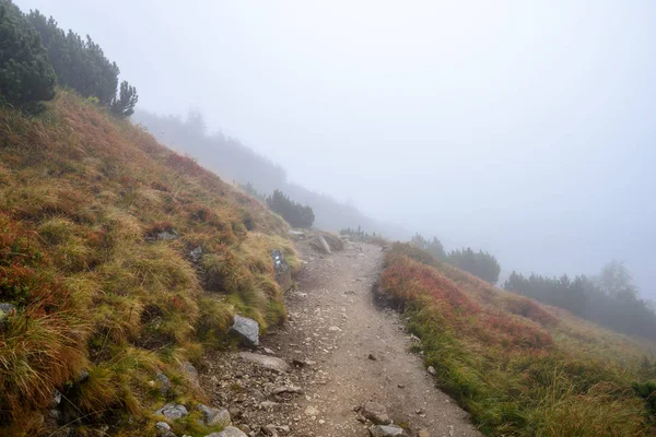 Turist Vandringsled Dimmigt Dimmiga Dagen Med Regn Och Steniga Fotspår — Stockfoto