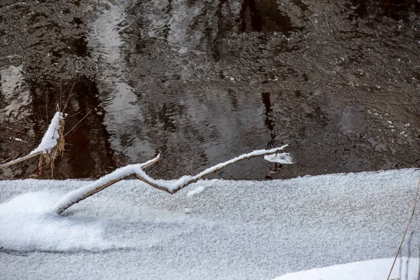 Galhos Árvores Congeladas Inverno Com Fundo Desfocado — Fotografia de Stock