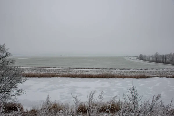 Leeres Feld Winterlicher Landschaft Unter Schneeweißem Himmel — Stockfoto