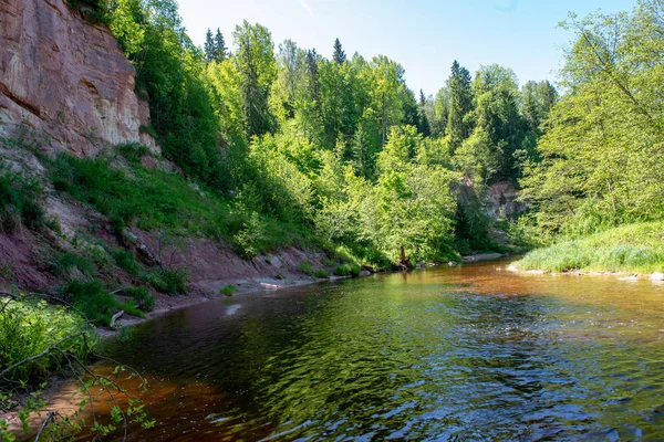 Soluppgång Över Floden Skog Skogen Tidigt Ljus Floden Amata Lettland — Stockfoto