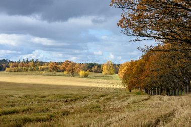 geç sonbaharda, bulutlu gün boş kırsal alanları.