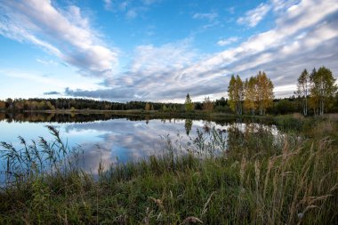 parlak güneş ışığı yansımaları, bulutlar ve ağaç ve mavi gökyüzü ile sakin göl. kırsal kesimde yaz