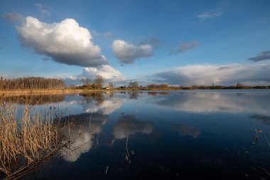 parlak güneş ışığı yansımaları, bulutlar ve ağaç ve mavi gökyüzü ile sakin göl. kırsal kesimde yaz