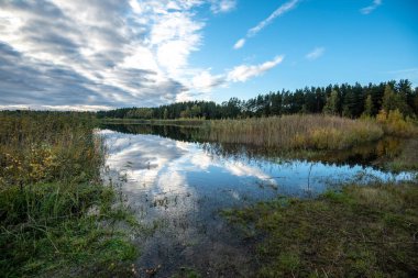 parlak güneş ışığı yansımaları, bulutlar ve ağaç ve mavi gökyüzü ile sakin göl. kırsal kesimde yaz