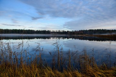 parlak güneş ışığı yansımaları, bulutlar ve ağaç ve mavi gökyüzü ile sakin göl. kırsal kesimde yaz