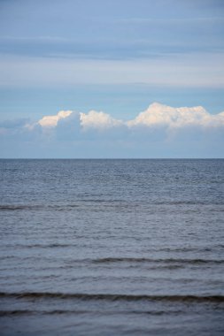 denizin kenarında plajda su yakınında yaz aylarında dinlenme Kuşlar sürüsü