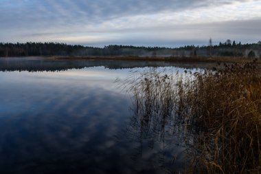 parlak güneş ışığı yansımaları, bulutlar ve ağaç ve mavi gökyüzü ile sakin göl. kırsal kesimde yaz