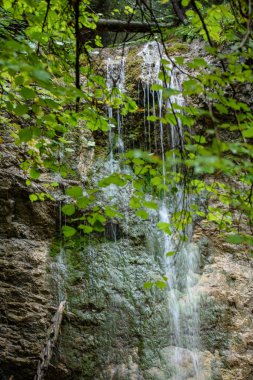 ormandaki şelale sonbaharda kayalık nehir hızlı dağ
