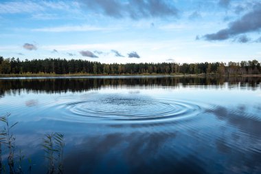 parlak güneş ışığı yansımaları, bulutlar ve ağaç ve mavi gökyüzü ile sakin göl. kırsal kesimde yaz