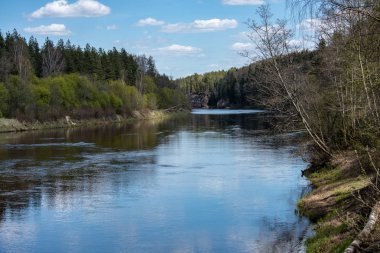 parlak güneş ışığı yansımaları, bulutlar ve ağaç ve mavi gökyüzü ile sakin göl. kırsal kesimde yaz