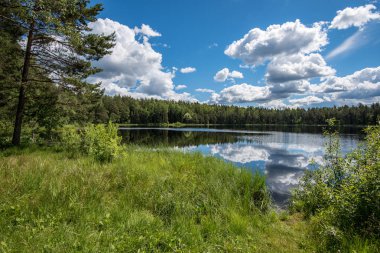 parlak güneş ışığı yansımaları, bulutlar ve ağaç ve mavi gökyüzü ile sakin göl. kırsal kesimde yaz