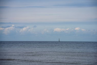 denizin kenarında plajda su yakınında yaz aylarında dinlenme Kuşlar sürüsü
