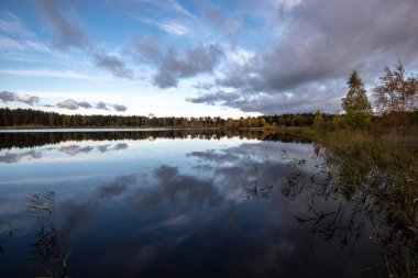 parlak güneş ışığı yansımaları, bulutlar ve ağaç ve mavi gökyüzü ile sakin göl. kırsal kesimde yaz