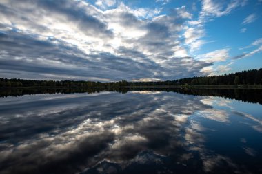 parlak güneş ışığı yansımaları, bulutlar ve ağaç ve mavi gökyüzü ile sakin göl. kırsal kesimde yaz
