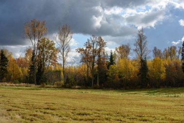 geç sonbaharda, bulutlu gün boş kırsal alanları.