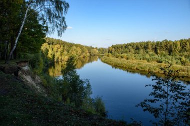 parlak güneş ışığı yansımaları, bulutlar ve ağaç ve mavi gökyüzü ile sakin göl. kırsal kesimde yaz