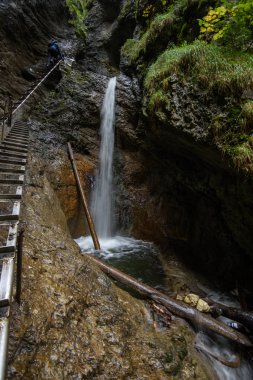ormandaki şelale sonbaharda kayalık nehir hızlı dağ