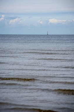 denizin kenarında plajda su yakınında yaz aylarında dinlenme Kuşlar sürüsü