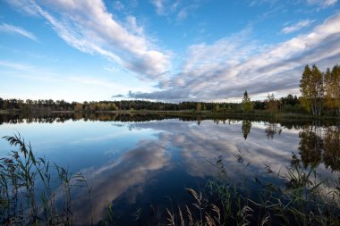 parlak güneş ışığı yansımaları, bulutlar ve ağaç ve mavi gökyüzü ile sakin göl. kırsal kesimde yaz