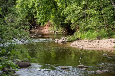 parlak güneş ışığı yansımaları, bulutlar ve ağaç ve mavi gökyüzü ile sakin göl. kırsal kesimde yaz