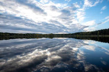 parlak güneş ışığı yansımaları, bulutlar ve ağaç ve mavi gökyüzü ile sakin göl. kırsal kesimde yaz