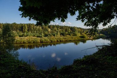 parlak güneş ışığı yansımaları, bulutlar ve ağaç ve mavi gökyüzü ile sakin göl. kırsal kesimde yaz