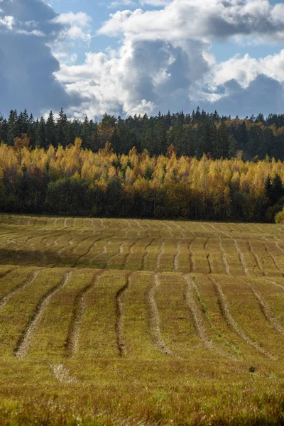 Lege Platteland Velden Late Herfst Bewolkte Dag — Stockfoto