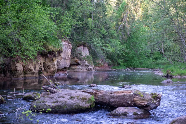 Alba Sul Fiume Foresta Nel Bosco Prima Luce Sul Fiume — Foto Stock